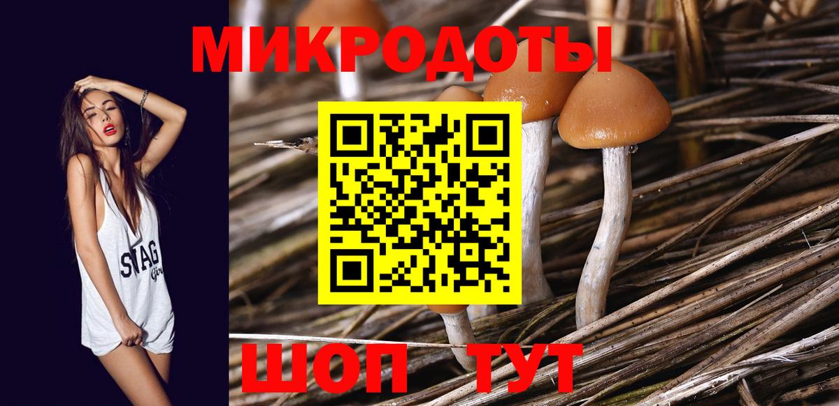 Галлюциногенные грибы Psilocybine cubensis Кудымкар