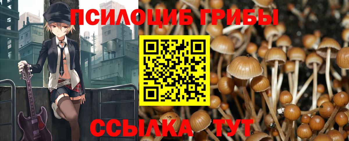 Галлюциногенные грибы GOLDEN TEACHER  Вход с VPN  Кудымкар  Галлюциногенные грибы Cubensis 